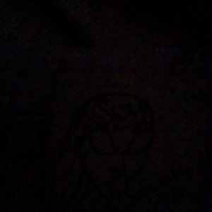 bird 🐦 brain 😀