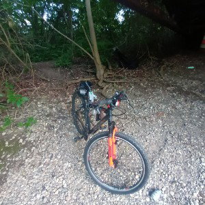 Bikes 'N' PBJ