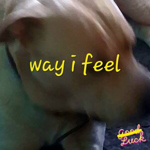 Way I Feel