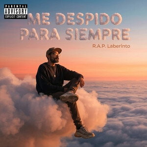 ME DESPIDO PARA SIEMPRE 