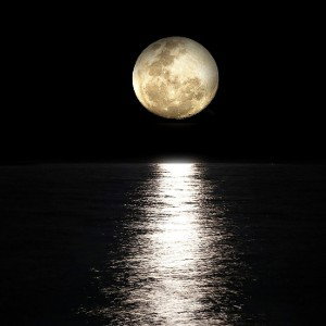 Dark Night Momentum
