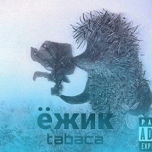 Ёжик 