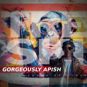 Gorgeously Apish