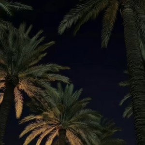 marbella