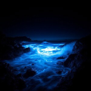 Just A Wave