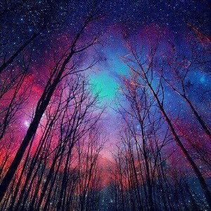 midnight dreams
