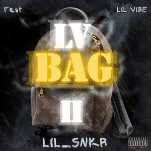 LV BAG II 