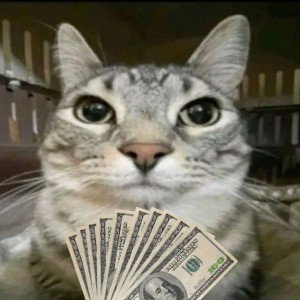 Скажи нет