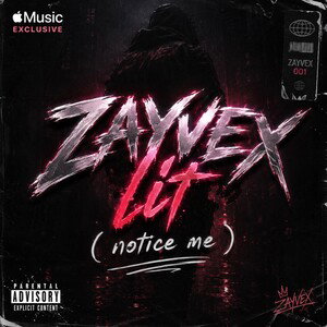 Z L ( notice me )