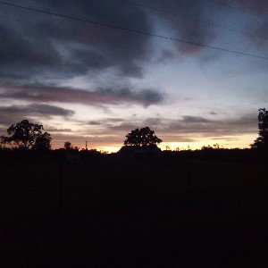 FaThaCrOwN