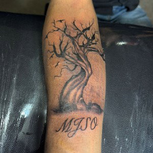 Árbol Seco