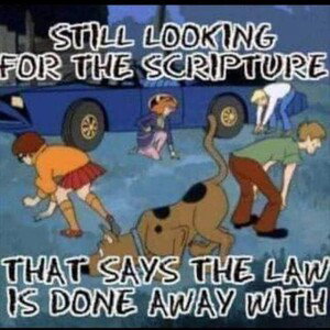 wake up reality check 