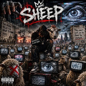 Sheep 🐑👁