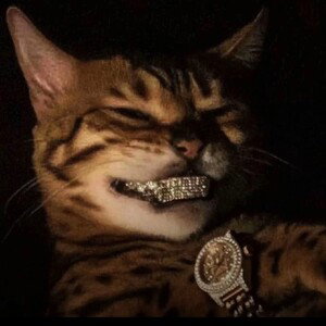 idont Wana Fuc## freind 🚫 just give my moneyyyyy 