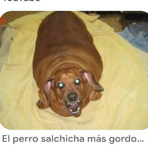He trump