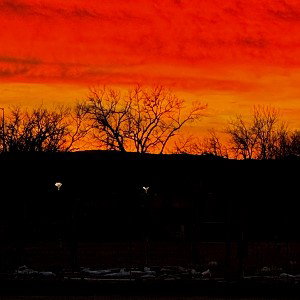 Blinded - Mackie Haze 