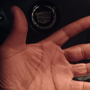 ✋️ hands