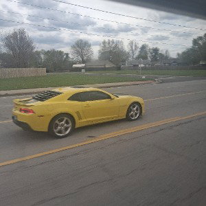 car seed