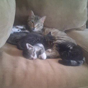 Rainstorm at midnight