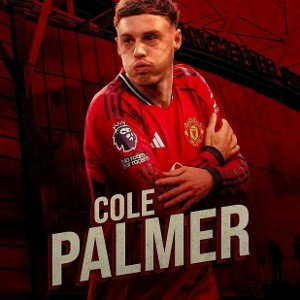 palmer 