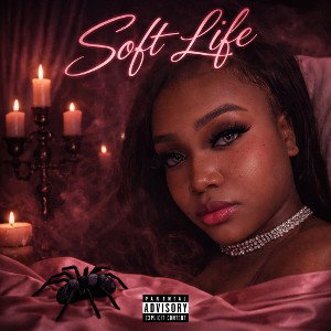 Soft Life