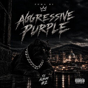 AGRESSIVE PURPLE 😈