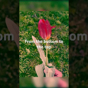 From The buttom to the top