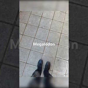 Lil Celone - Megalodon