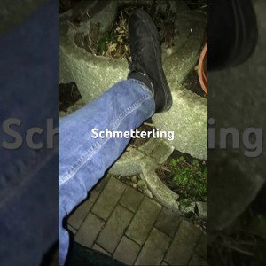 Lil Celone - Schmetterling