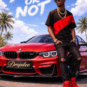 RIDE OR NOT