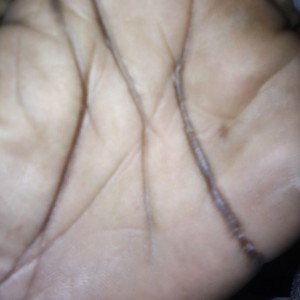 palmistry understand 