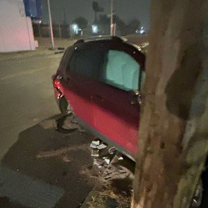 CatFish(#CRASH OUT)