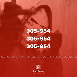 305-954