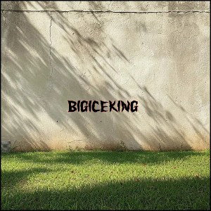Bigiceking FREESTYLE 