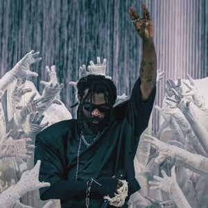Mercii damso