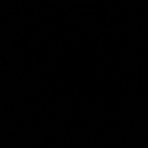 Freestyle Fam