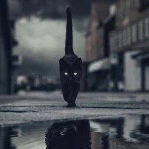 TYRANOW' ® 🖖🏼 AVEC PRÉVISION 🌧️🌦️