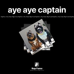aye aye captain 