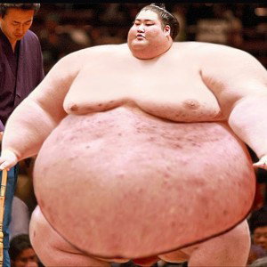 💥SUMO!!🔥