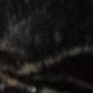 This Bro (The Wannabe album coming)