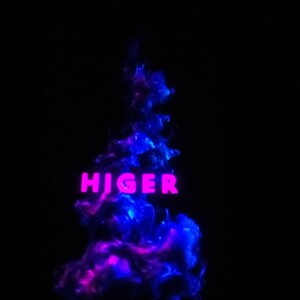 HIGER(WASTED)