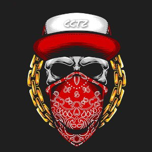 313 GNG GUN BLAZE GGG