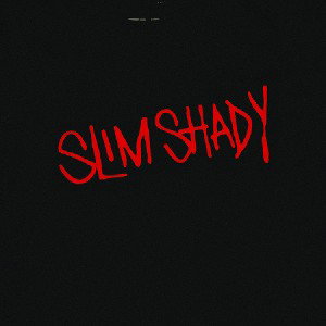 The Little Eminem Rap