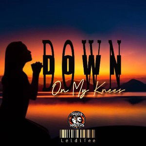 🔸DOWN ON MY KNEES