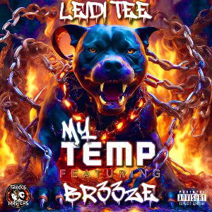 MY TEMP FT BR33ZE