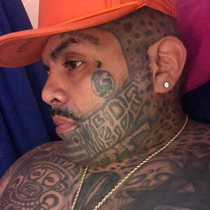 fuckem all