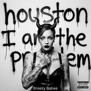 houston I am the problem 