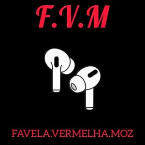 FVM 9