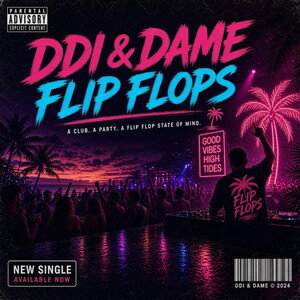 DDI & DAIM - FLIP FLOPS 
