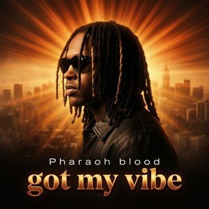got my vibe